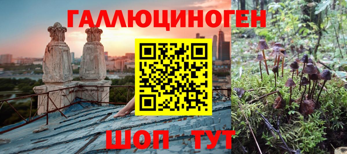 Псилоцибиновые грибы Magic Shrooms Урюпинск