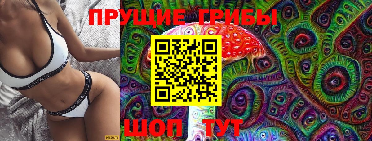 Урюпинск  Псилоцибиновые грибы MAGIC MUSHROOMS  Вход с VPN 